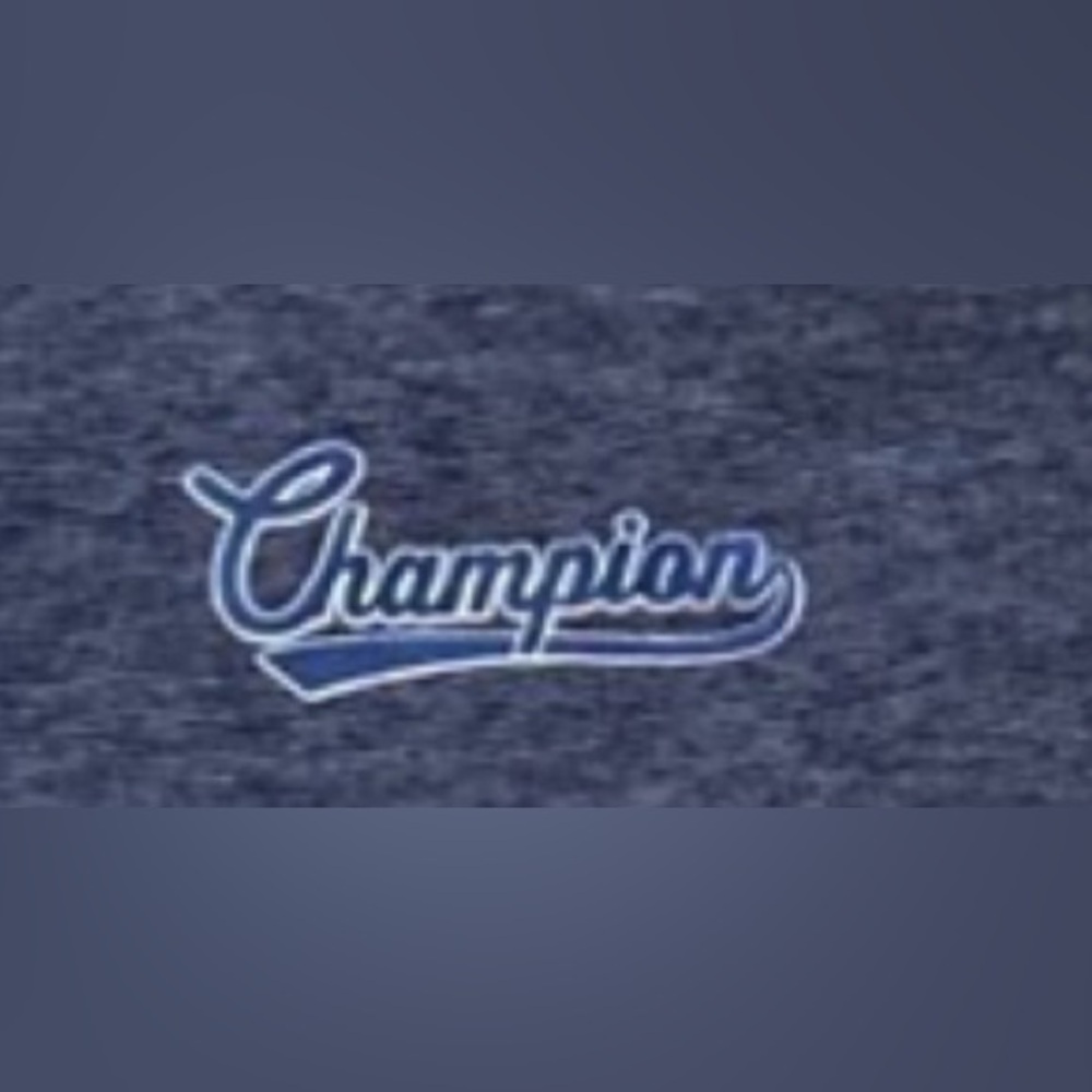 NWT Champion Men's Blue Tank Top Men’s Size Large . - Picture 3 of 12